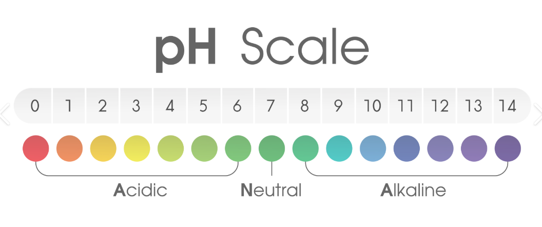 pH vs. Alkalinity: How They Work Together (and Why It Matters for Your Pool)