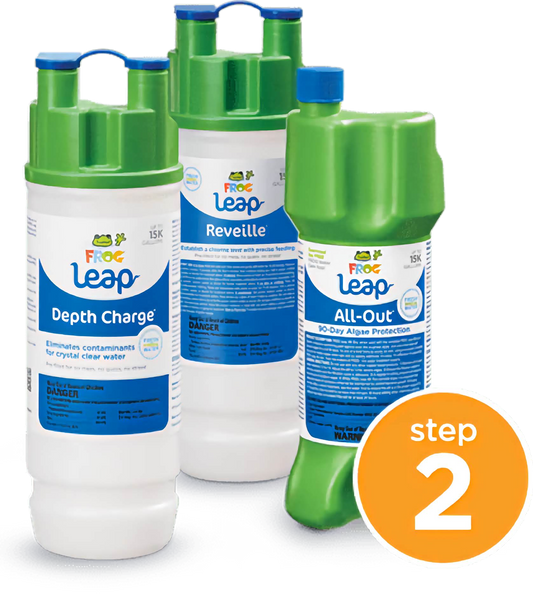 Frog Leap Pool Wake-Up! & Pool Hibernation - Pool FX 