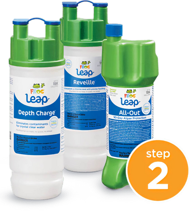 Frog Leap Pool Wake-Up! & Pool Hibernation - Pool FX 